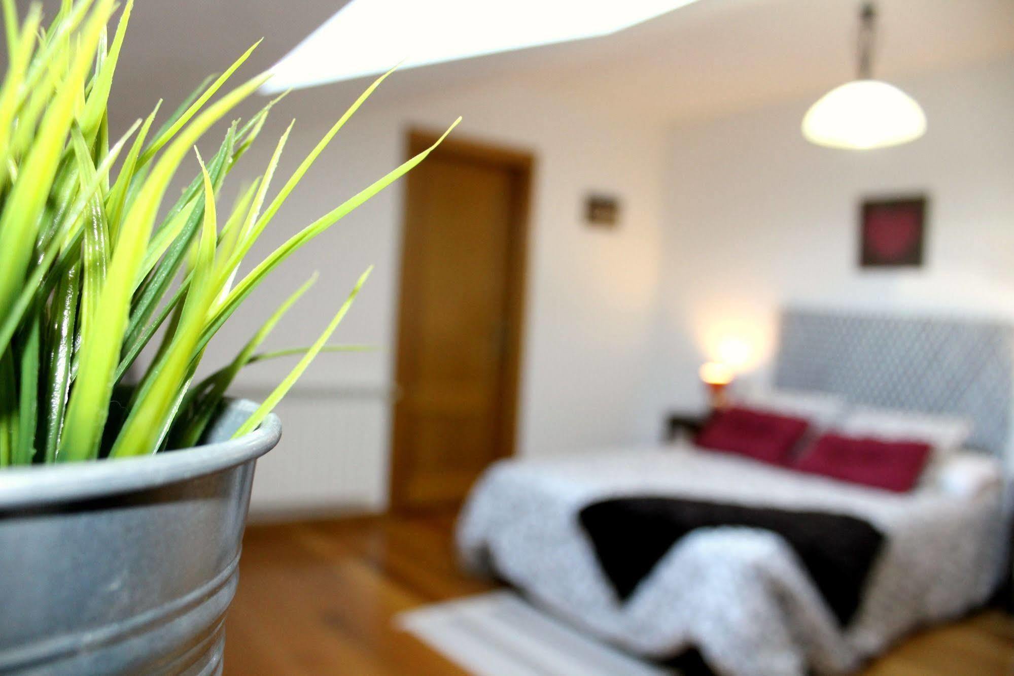 Galicia Getaway - A Casa Dos Cancelos บิลาการ์เซีย เด อาโรว์ซา ภายนอก รูปภาพ